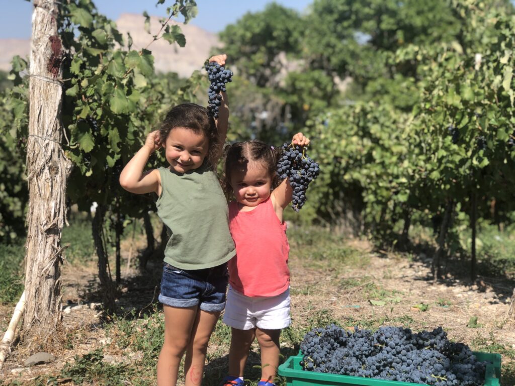 Kids and Grapes